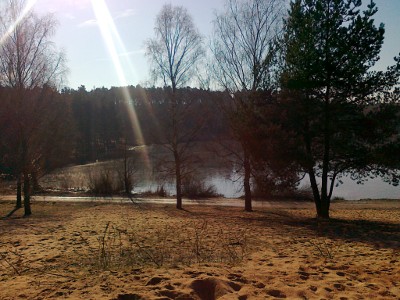 birkensee2011