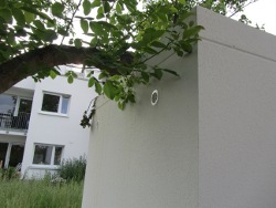 garageWallnusbaum