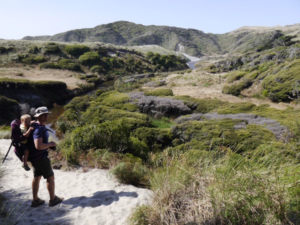 WegWharaikiBeachUrwald