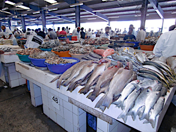 fischmarktDubai