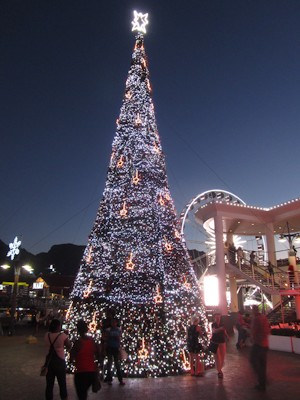 lovaneWeihnachtsbaum