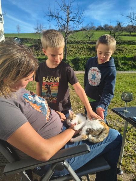 Katze am Campingplatz im Schwarzwald