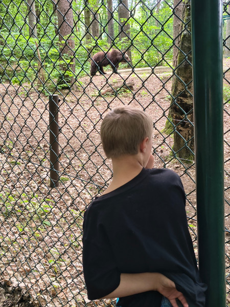 Rufus und der Braunbär